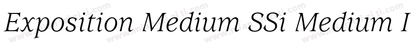 Exposition Medium SSi Medium Italic字体转换